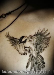рисунка тату воробей 03.12.2018 №147 - photo tattoo sparrow - tattoo-photo.ru